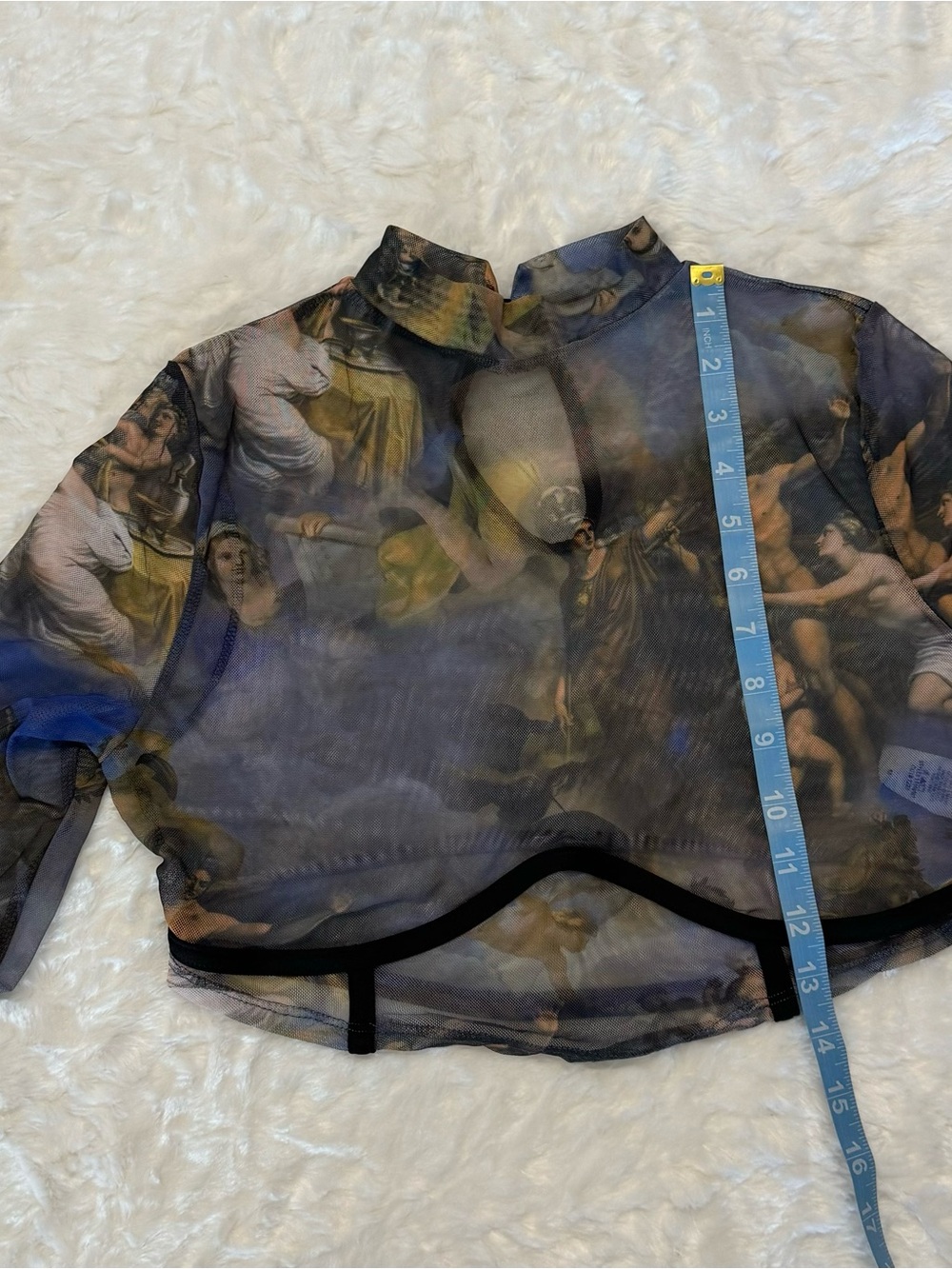 Fashion Nova Renaissance Print Sheer Crop-Top in Size Medium - Picture 13 of 13